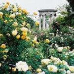 Top 5 outdoor photography sites across L.A.