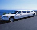 Chop Here, not There: Your Limo Rental