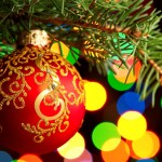 En busca del auténtico árbol de Navidad