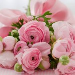 Bountiful flowers for your Quince decorations