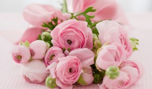 Before making a purchase, find out if they have special deals and what are the seasonal flowers that you can use.