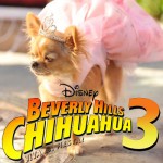 Did you take a picture with the movie stars of Beverly Hills Chihuahua at our Expo?