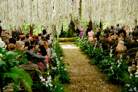 A Quinceanera with a twilight wedding theme, featuring Kristen Stewart and a large group of people standing in a forest