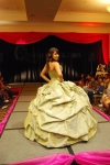 Bronze QUinceanera Dress