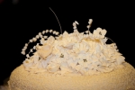 Quinceanera Cake