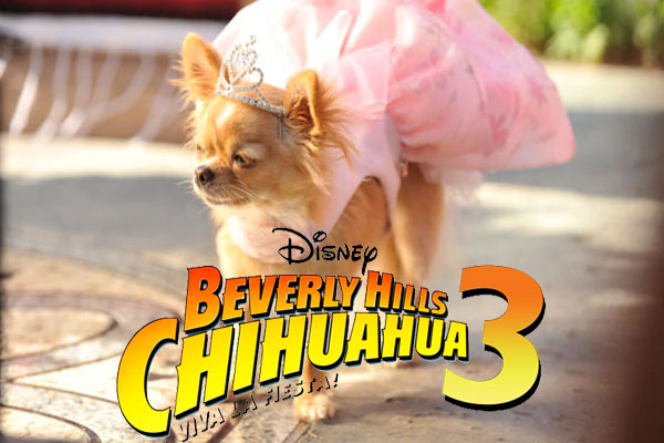 beverly hills chihuahua chloe clothes